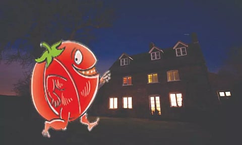 தக்காளி தந்த பாதுகாப்பு