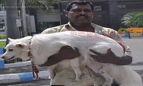 நாயுடன் கலெக்டர் அலுவலகத்திற்கு மனு கொடுக்க வந்த வியாபாரியால் பரபரப்பு