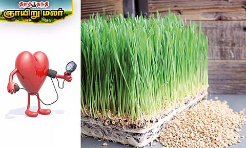 உயர் ரத்த அழுத்தத்தை கட்டுப்படுத்தும் இயற்கை வழிமுறைகள்