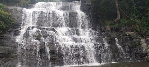 நீர்ப்பிடிப்பு பகுதியில் மழை பெய்யாததால்மேகமலை அருவியில் நீர்வரத்து குறைந்தது