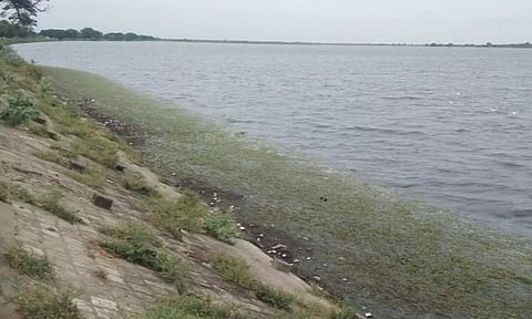 வீராணம் ஏரியின் நீர்மட்டம் உயர்ந்து வருகிறது