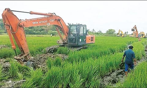 என்.எல்.சி. விரிவாக்க பணி தொடக்கம்: நெற்பயிர்களை பொக்லைன் மூலம் அழித்ததால் விவசாயிகள் வேதனை