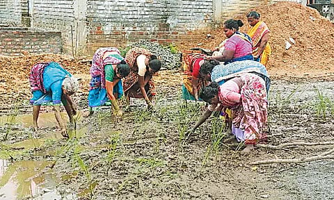 சாலையை சீரமைக்க வலியுறுத்தி நாற்று நடும் போராட்டம்