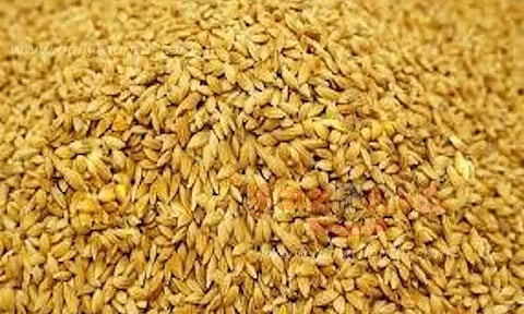 விவசாயிகளுக்கு தேவையான நெல் ரகங்கள் விற்பனை