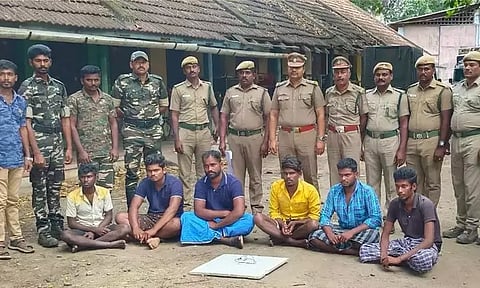 வனப்பகுதியில் புலி இறந்து கிடந்த வழக்கு - சிறுவன் உள்பட 7 பேர் அதிரடி கைது