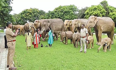 மாமல்லபுரம் கடற்கரை கோவில் வளாகத்தில் மூங்கில் யானை சிலைகள்