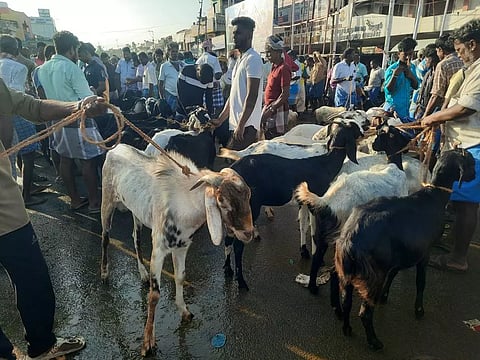 களைகட்டிய ஆட்டுச்சந்தை