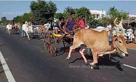 மீமிசல் அருகே மாட்டு வண்டி பந்தயம்