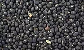 உளுந்து, பயறு கொள்முதல் செய்ய வேண்டும்- விவசாயிகள்