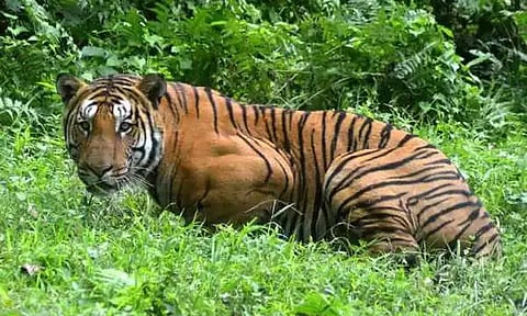 கோப்புப்படம்