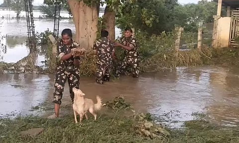 வெள்ளத்தில் சிக்கி தவித்த குட்டிகள்: காப்பாற்றிய போலீசாருக்கு நன்றி தெரிவிக்கும் விதமாக வாலை ஆட்டியபடி ஆனந்த கண்ணீர் வடித்த தாய் நாய்...!