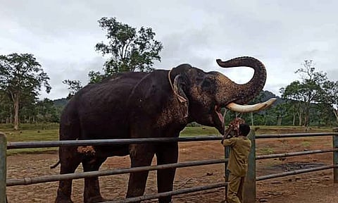 தெப்பக்காடு யானைகள் முகாம் நாளை முதல் மூடல்.!