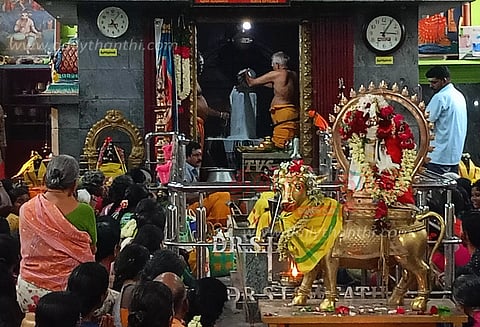 ஆடி மாத பிரதோஷத்தையொட்டிசிவன் கோவில்களில் சிறப்பு வழிபாடுஏராளமான பக்தர்கள் சாமி தரிசனம்