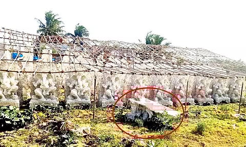 விநாயகர் சிலைகள் கால்நடைகளால் சேதம்