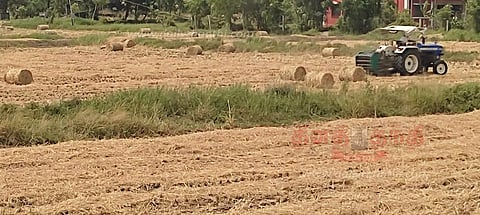 எந்திரம் மூலம் வைக்கோல் கட்டும் பணி