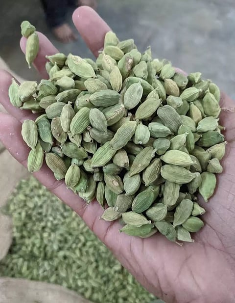 ஏலக்காய் விலை கிடுகிடு உயர்வு