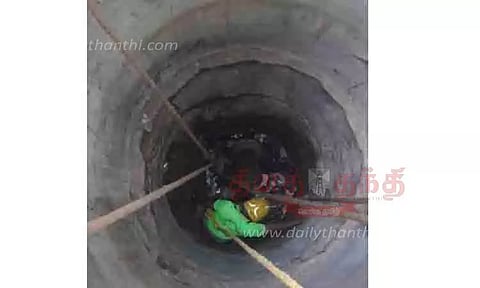 80 அடி ஆழ கிணற்றில் விழுந்த பசுமாடு உயிருடன் மீட்பு