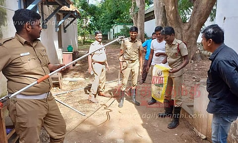 சார்பதிவாளர் அலுவலகத்தில் சாரைப்பாம்பு பிடிபட்டது