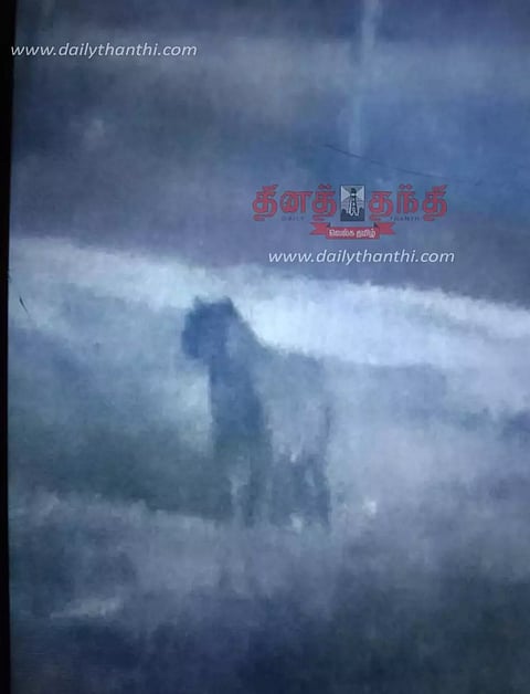 தாளவாடி அருகே ஊருக்குள் புகுந்த சிறுத்தைப்புலி- பொதுமக்கள் பீதி