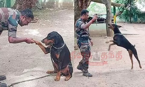 வனக்குற்றங்களை தடுக்க முதல் முறையாக மோப்ப நாய்