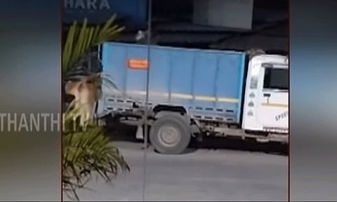 பசுமாட்டை குறி வைக்கும் வடமாநில கும்பல் - வேலூரில் அதிர்ச்சி