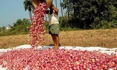 இல்லத்தரசிகளுக்கு மேலும் ஓர் இடி: தக்காளியை தொடர்ந்து வெங்காய விலையும் அதிகரிக்கும் என தகவல்