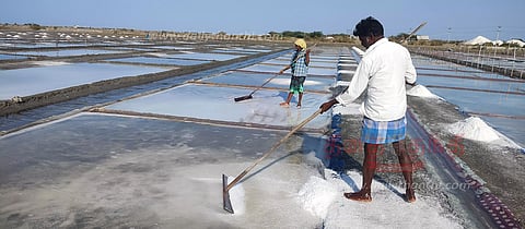 வேதாரண்யத்தில், முழு வீச்சில் உப்பு உற்பத்தி