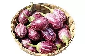 வரத்து குறைந்ததால்தர்மபுரியில் கத்தரிக்காய் விலை உயர்வுஉழவர் சந்தையில் கிலோ ரூ.25-க்கு விற்பனை