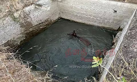 கிணற்றில் தத்தளித்த மிளா மீட்பு