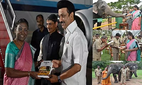 முதுமலை யானைகள் முகாமை பார்வையிட்ட ஜனாதிபதி திரவுபதி முர்மு