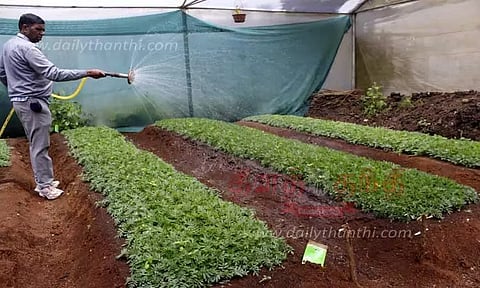 ஊட்டி தாவரவியல் பூங்காவை தயார்படுத்தும் பணி