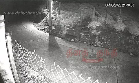 குடியிருப்பில் கருஞ்சிறுத்தை உலா