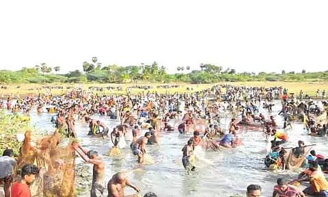 கண்மாயில் இறங்கி மீன்களை அள்ளிய கிராம மக்கள்