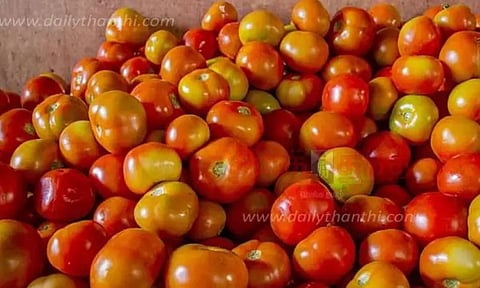 வரத்து அதிகரிப்பால் தக்காளி விலை 6-வது நாளாக தொடர்ந்து சரிவு