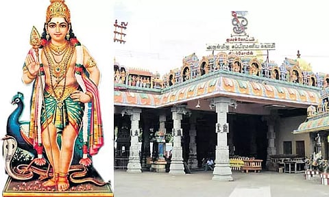 காஞ்சீபுரம் குமரக்கோட்டம் முருகன் கோவிலில் ஆடிக் கிருத்திகை விழா