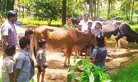 மாட்டுப்பண்ணைக்கு மாணவர்கள் களப்பயணம்