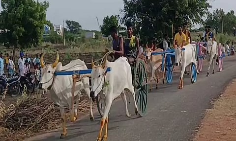 விளாத்திகுளம் அருகேமாட்டுவண்டி பந்தயம்