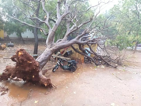 கொடைக்கானலில் கொட்டித்தீர்த்த கனமழை