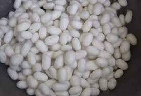 தர்மபுரி ஏல அங்காடியில்பட்டுக்கூடு விலை குறைந்தது