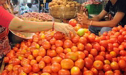 சென்னை கோயம்பேடு சந்தையில் தக்காளி விலை மேலும் குறைவு