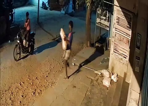 மளிகை கடையில் உப்பு மூட்டைகளை திருடிய மர்மநபர்கள்