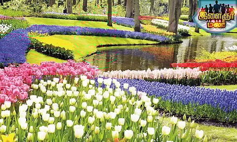 'பூங்கா' நல்லது..!