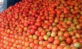 விழுப்புரத்தில் 2 கிலோ தக்காளி ரூ.100-க்கு விற்பனை