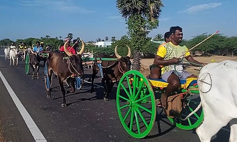 மாட்டு வண்டி எல்கை பந்தயம்