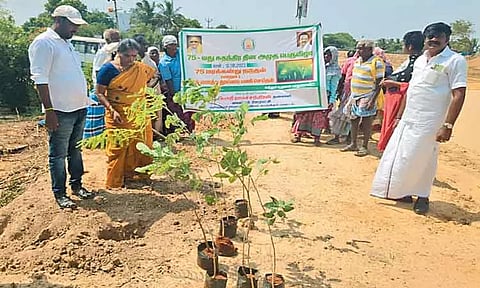 சுதந்திர தின அமுத பெருவிழாவை முன்னிட்டு மரக்கன்றுகள் நடும் விழா