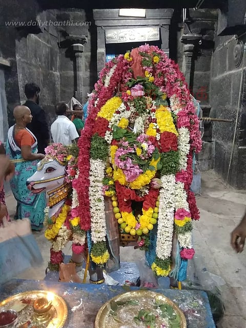 கரபுரநாதர் கோவிலில் சிறப்பு வழிபாடு