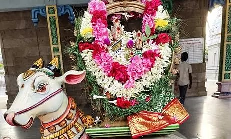வெள்ளகோவில், முத்தூர் பகுதி கோவில்களில் பிரதோஷ வழிபாடு