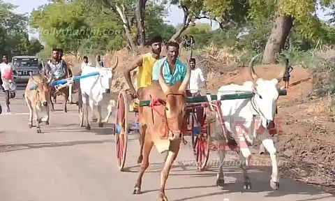 மாட்டு வண்டி பந்தயம்