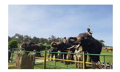 முதுமலை தெப்பகாட்டில் தேசியக்கொடிக்கு தும்பிக்கைகளை உயர்த்தி மரியாதை செலுத்திய வளர்ப்பு யானைகள்