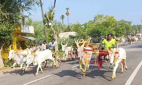 ஆடி களரி விழாவில் மாட்டு வண்டி பந்தயம்